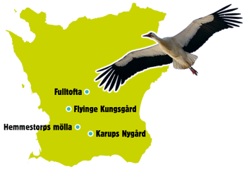 https://www.storkprojektet.se/wp-content/uploads/2016/04/Kartan-350x240.png